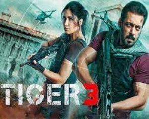 फिल्म टाइगर-3 ने रिलीज के दूसरे दिन 100 करोड़ रुपये की कमाई का आंकड़ा किया पार
