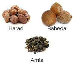 ये 3 जड़ी बूटियां होती हैं पेट के लिए फायदेमंद, दूर करती हैं पाचन से जुड़ी समस्याएं ये 3 जड़ी बूटियां होती हैं पेट के लिए फायदेमंद, दूर करती हैं पाचन से जुड़ी समस्याएं