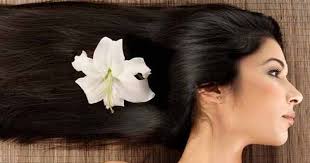 इन 5 चीजों से बाल बनेंगे रेशमी और चमकदार इन 5 चीजों से बाल बनेंगे रेशमी और चमकदार