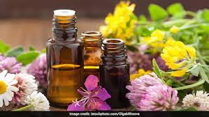 सर्दियों में कौन से 5 तेल सबसे ज्यादा असरदार होते हैं? सर्दियों में कौन से 5 तेल सबसे ज्यादा असरदार होते हैं?