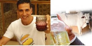   अक्षय कुमार रोजाना पीते हैं गोमूत्र,  जानिए गोमूत्र पीने के स्वास्थ्य लाभ