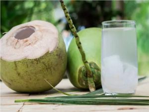  बच्‍चों की सेहत के लिए अमृत का काम करता है नारियल पानी, जानिए 5 अहम फायदे