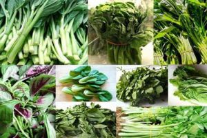 हृदय रोगों से बचने खाएं हरी पत्तेदार सब्जियां, घटाती हैं बीमारी का खतरा  