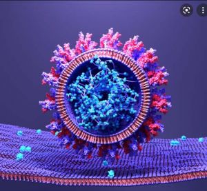   स्पाइक प्रोटीन क्या है? कोरोना वायरस इंफेक्शन के फैलने और वैक्सीन के असर में इसकी क्या भूमिका है?