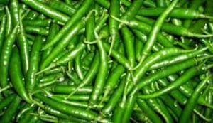 सर्दियों में रोज खाएं 1 हरी मिर्च, कई बीमारियां रहेंगी दूर