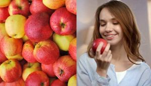  खाली पेट सेब खाने से सेहत को होते हैं ये 6 फायदे, जानें किन लोगों को नहीं खाना चाहिए इसे