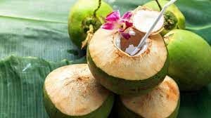 सर्दियों में नारियल पानी पीने से नहीं लगेगी सर्दी, मिलेंगे इतने सारे फायदे