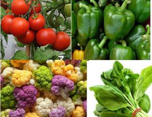  बेहतर पाचन शक्ति के लिए इन 5 सब्जियों से बनाएं दूरी 