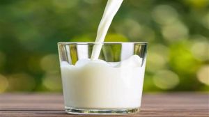  क्या दूध पीने से कफ बनता है? जानें सच्चाई