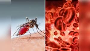  एक जैसे लग सकते हैं मानसूनी बुखार और डेंगू के लक्षण, जानें दोनों में अंतर