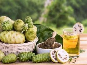   इम्यून सिस्टम मजबूत करने समेत इन 5 समस्याओं में फायदेमंद है नोनी जूस....