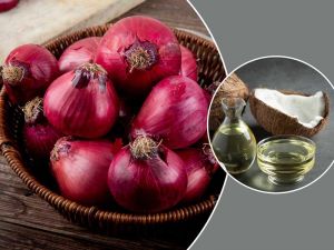   नारियल के तेल में मिला लें इस सस्ती सब्जी का पेस्ट, बालों में लगाते ही रूक जाएगा हेयर फॉल