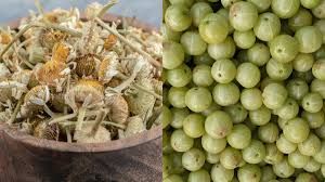  बालों को तेजी से बढ़ाने के लिए आंवला या भृंगराज क्या है फायदेमंद?  