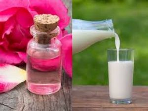  गुलाब जल या कच्चा दूध: स्किन के लिए क्या है ज्यादा फायदेमंद