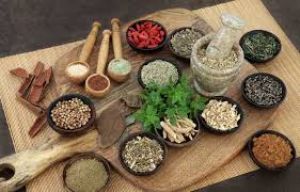  ठंड में बच्चों की इम्यूनिटी बढ़ाने में फायदेमंद हैं ये 5 आयुर्वेदिक जड़ी बूटियां 