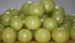 आंवला...सिर से लेकर पैर तक हो जाएगा इंफेक्शन प्रूफ