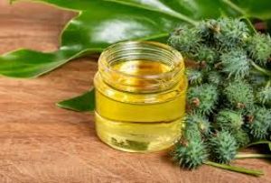  अरंडी के तेल की कुछ बूंदों से दूर होंगी झुर्रियां, बस इस तरह करें इस्तेमाल