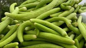   ज्यादा ककड़ी खाने से खराब हो सकता है पेट 