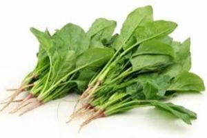  डाइट में शामिल करें ये 5 सब्जियां, Vitamin B12 की कमी पूरा करने में मिलेगी मदद