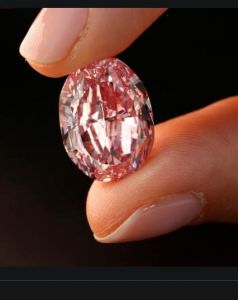  दुनिया का नायाब गुलाबी हीरा, 1.90 अरब रुपये में बिका
