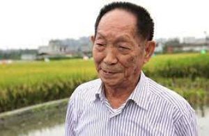  ‘हाइब्रिड चावल के पिता' के नाम से मशहूर वैज्ञानिक युआन लोंगपिंग का निधन