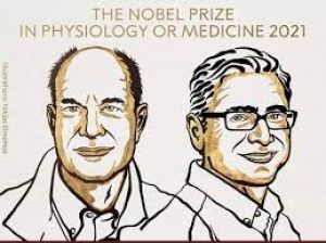  डेविड जूलियस व आर्डम पातापुतियन को मिला चिकित्सा का नोबेल पुरस्कार