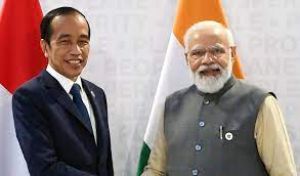 प्रधानमंत्री मोदी ने इंडोनेशिया के राष्ट्रपति विडोडो से विस्तृत रणनीतिक साझेदारी पर चर्चा की