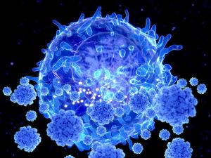  सर्दी-जुकाम के लिये जिम्मेदार वायरस से प्रेरित टी कोशिकाएं कोविड-19 से कर सकती हैं बचाव :शोध