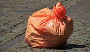 दुबई प्लास्टिक बैग के इस्तेमाल पर शुल्क वसूलेगा