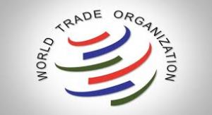 चीन ने ईवी, बैटरी सब्सिडी पर डब्ल्यूटीओ में भारत की शिकायत की