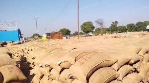  धान खरीदी में नया रिकॉर्ड: 13 जनवरी तक 17.77 लाख किसानों के खातों में पहुंचा  23,448 करोड़