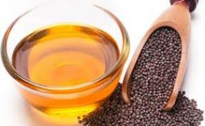 सरसों का तेल शुद्ध है या मिलावटी? घर पर जांचें शुद्धता सरसों का तेल शुद्ध है या मिलावटी? घर पर जांचें शुद्धता