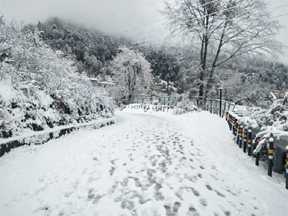 बर्फबारी, बारिश से उत्तराखंड में ठंड बढी बर्फबारी, बारिश से उत्तराखंड में ठंड बढी