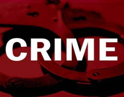 लाखों रुपये मूल्य की देवदार की लकड़ी जब्त लाखों रुपये मूल्य की देवदार की लकड़ी जब्त