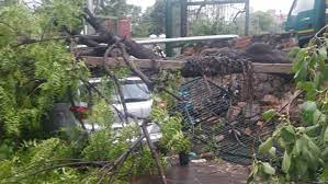 दिल्ली में भीषण तूफान, दो लोगों की मौत, सैकड़ों पेड़ उखड़े दिल्ली में भीषण तूफान, दो लोगों की मौत, सैकड़ों पेड़ उखड़े