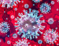 देश में कोविड-19 के 18,313 नए मामले, 57 और लोगों की मौत देश में कोविड-19 के 18,313 नए मामले, 57 और लोगों की मौत