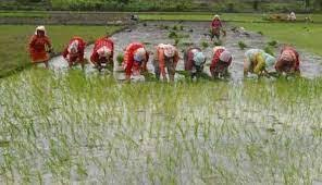 मंत्रिमंडल ने लघु अवधि के कृषि कर्ज पर 1.5 प्रतिशत ब्याज सहायता को मंजूरी दी मंत्रिमंडल ने लघु अवधि के कृषि कर्ज पर 1.5 प्रतिशत ब्याज सहायता को मंजूरी दी