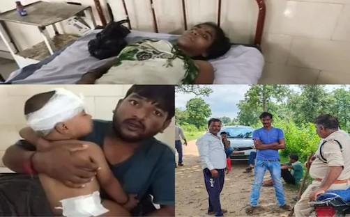 बेटे के लिए बाघ से भिड़ गई महिला बेटे के लिए बाघ से भिड़ गई महिला