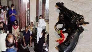 भाजपा नेता ने गोली मारकर आत्महत्या की.... ! भाजपा नेता ने गोली मारकर आत्महत्या की.... !