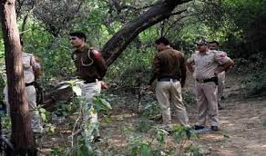 पतंग का 15 किलोमीटर तक पीछा करने के बाद दो लड़के जंगल में भटके पतंग का 15 किलोमीटर तक पीछा करने के बाद दो लड़के जंगल में भटके