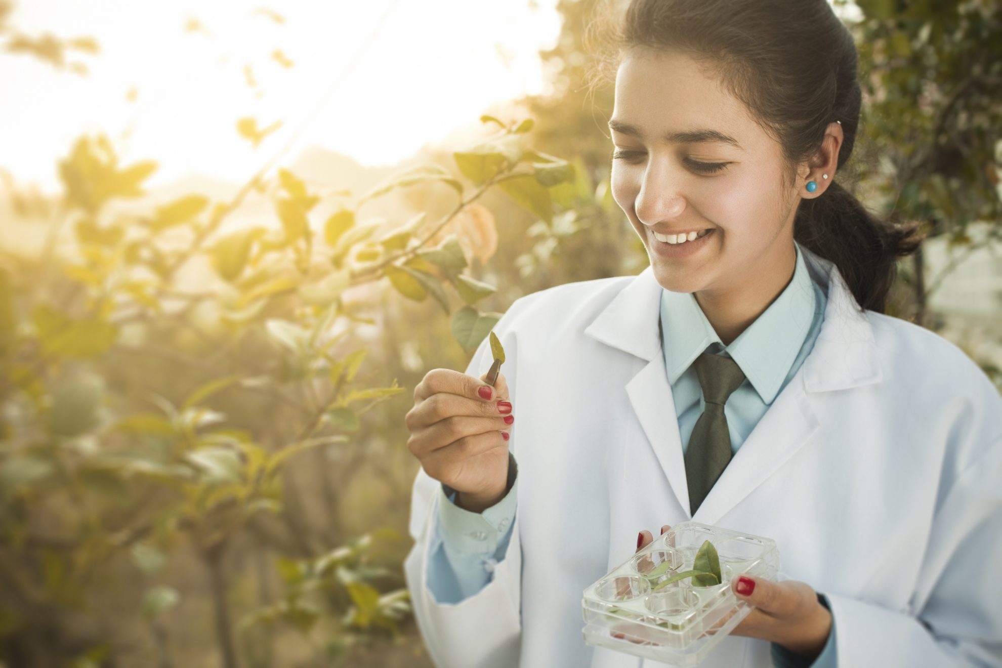 अब हर साल 23 सितंबर को मनाया जाएगा आयुर्वेद दिवस : केंद्र अब हर साल 23 सितंबर को मनाया जाएगा आयुर्वेद दिवस : केंद्र