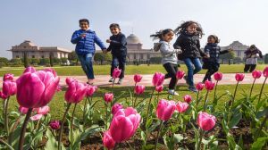 5 फरवरी से सुबह 10 से शाम 4 बजे तक खुलेगा मुगल गार्डन