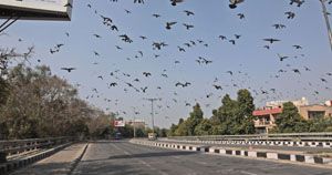  लॉकडाउन : वायु प्रदूषण से सबसे ज्यादा राहत  दिल्ली, नोएडा और गुरुग्राम को मिली 