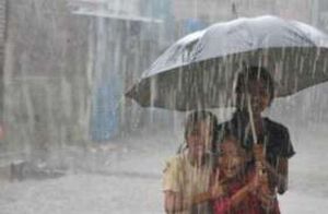  राजस्थान के कई हिस्सों में बारिश