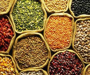  लॉकडाउन के दौरान दलहन और तिलहन की खरीद जारी
