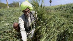  केंद्र ने किसानों की मदद करने और ग्रामीण अर्थव्यस्था को प्रोत्साहन देने के लिए दो अध्यादेश लागू किए