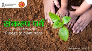   संस्कृति मंत्रालय पेड़ लगाने के लिए 28 जून से 12 जुलाई  तक मनाएगा संकल्प पर्व 