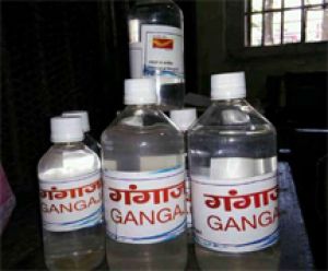 कांवड़ यात्रा पर नहीं जा सके शिवभक्तों को गंगा जल बांटेगी युवा कांग्रेस