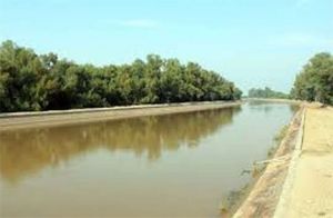 नाले के पानी को भी बनाया जा सकता है सिंचाई के लायक
