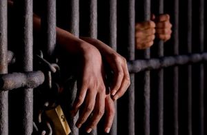  कोविड-19 के चलते पेरौल पर छोड़े गये कैदी बुलाये जायेंगे फिर जेल